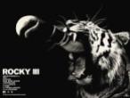 ROCKY III TIGER BOX COVER
